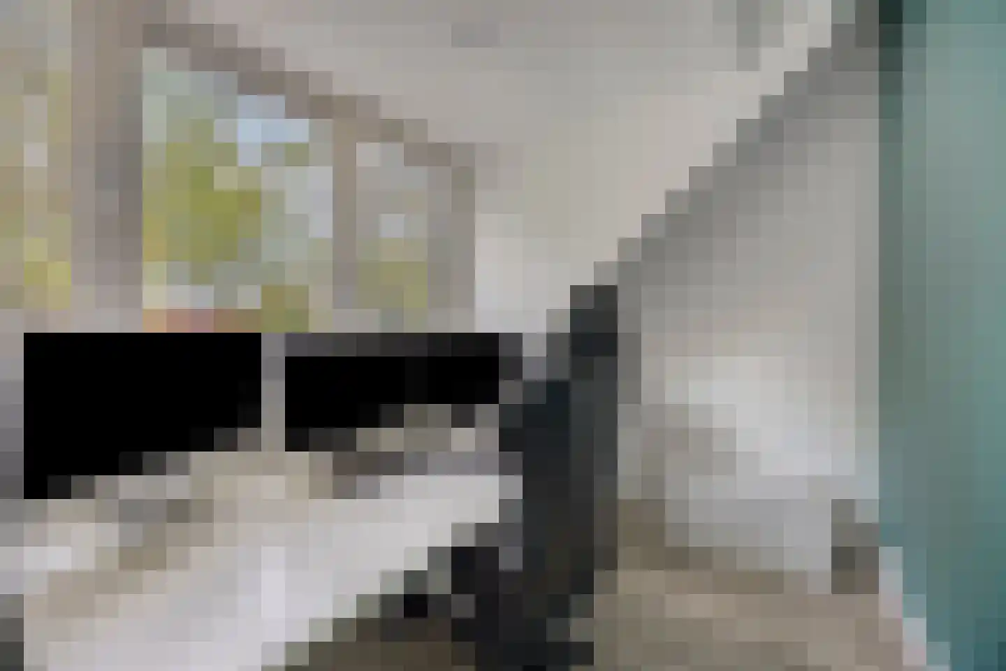 Zuivelstraat 38 Purmerend thumbnail 23