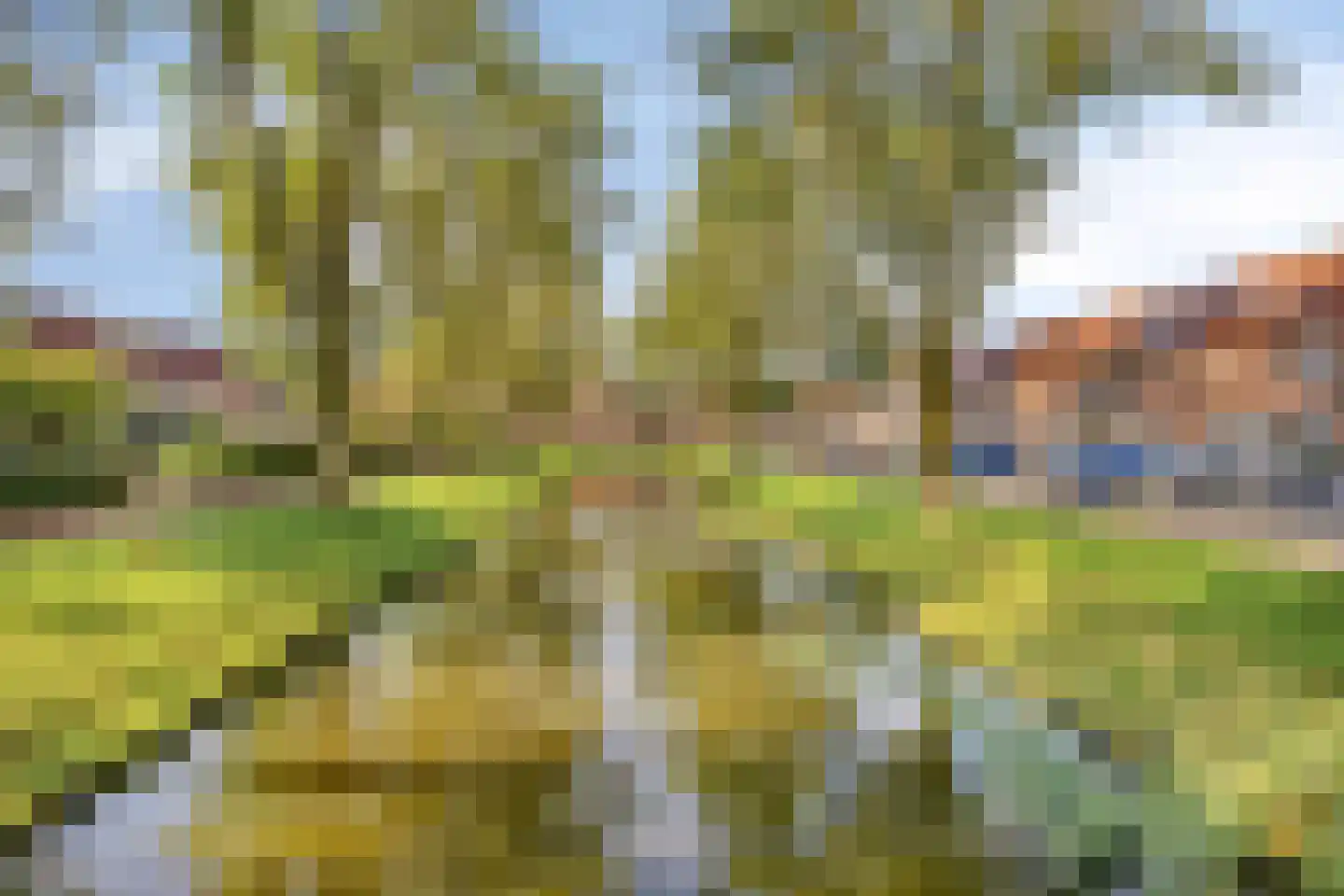 Zuivelstraat 38 Purmerend thumbnail 30