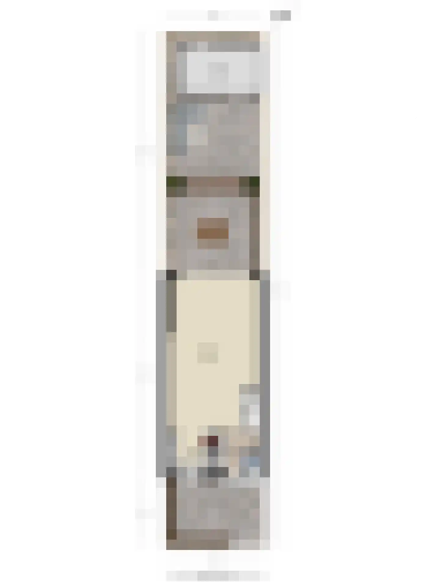 Zuivelstraat 38 Purmerend thumbnail 33