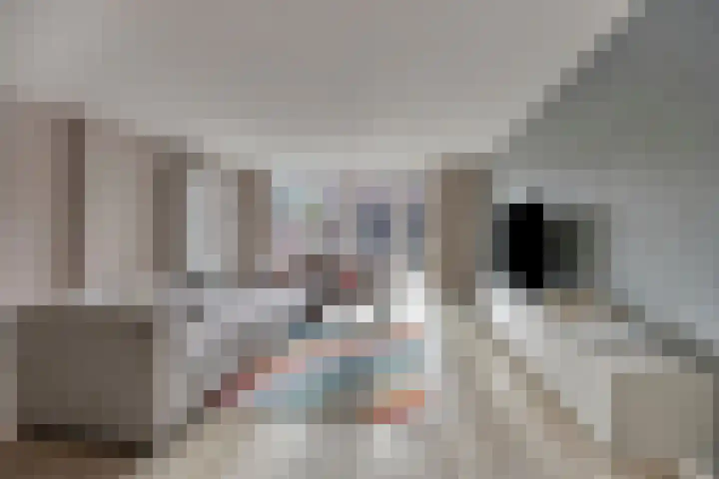 Zuivelstraat 38 Purmerend thumbnail 8