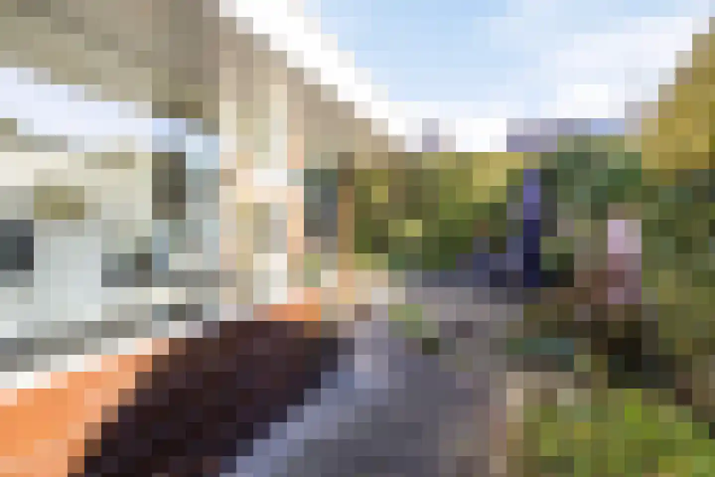 Zuivelstraat 39 Oldenzaal thumbnail 23