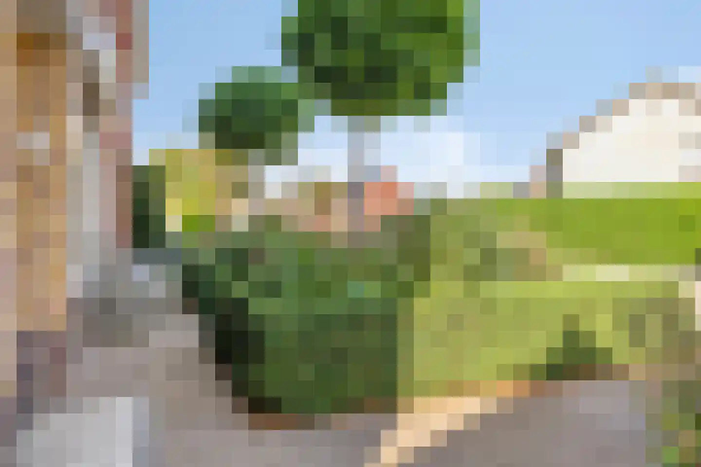 Zuivelstraat 4 Didam thumbnail 11