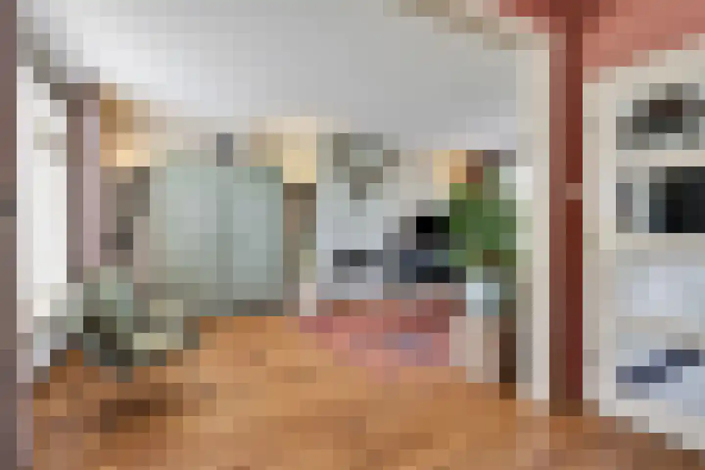 Zuivelstraat 4 Didam thumbnail 15