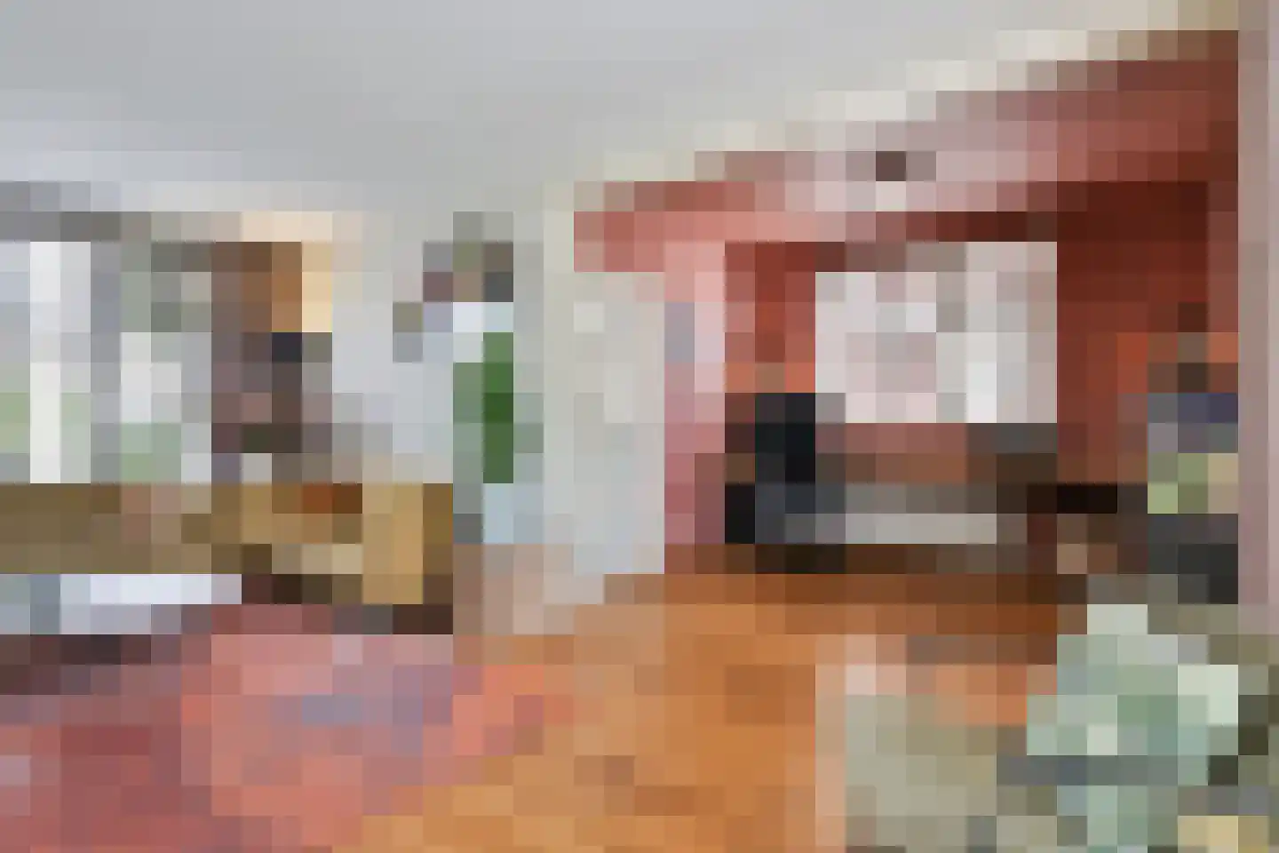 Zuivelstraat 4 Didam thumbnail 21