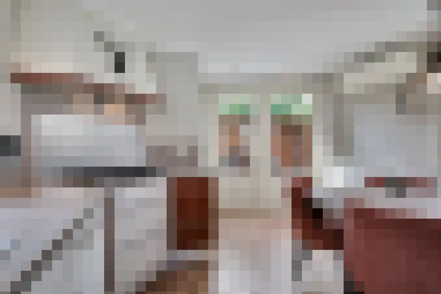 Zuivelstraat 4 Didam thumbnail 26