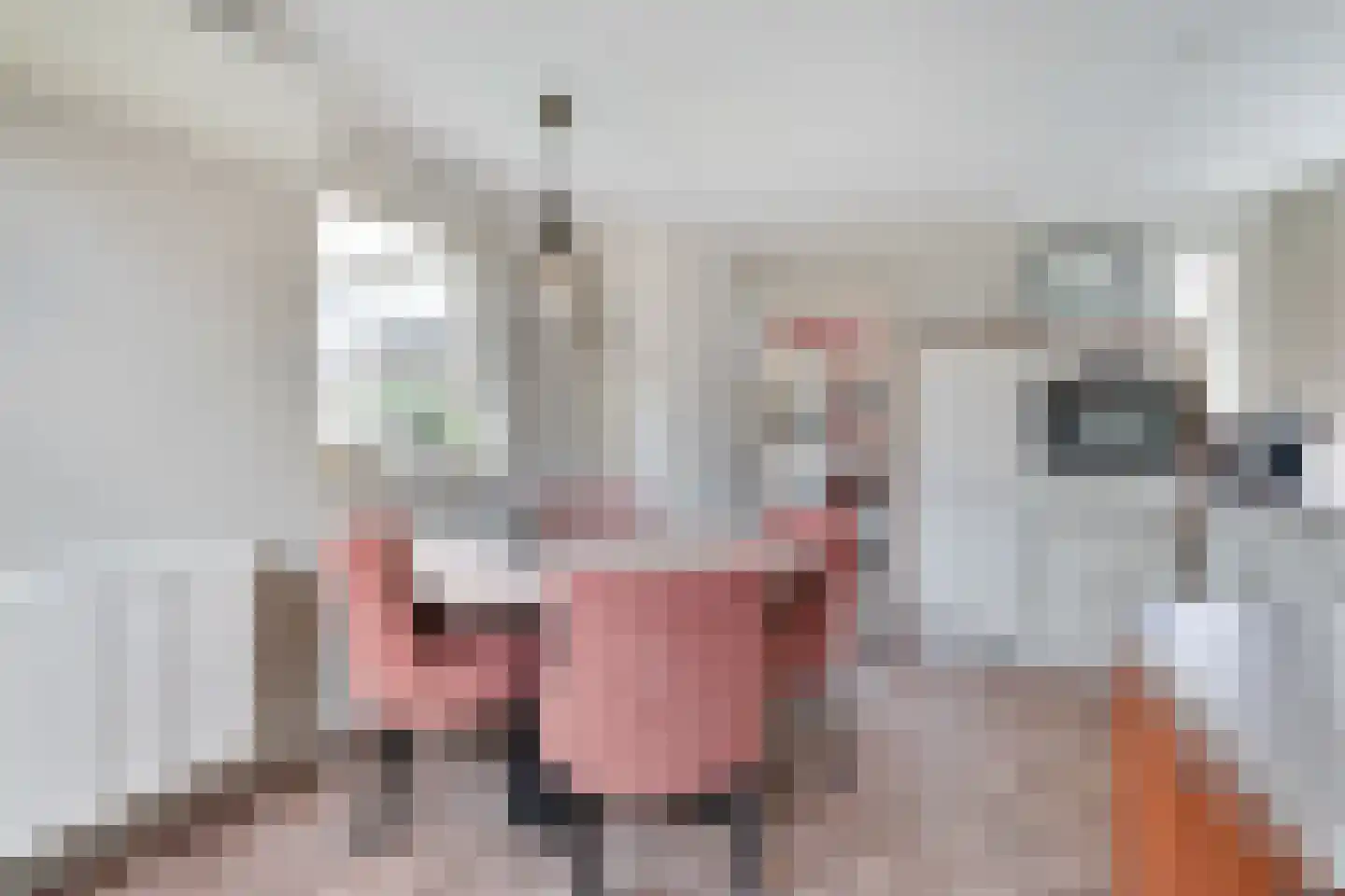 Zuivelstraat 4 Didam thumbnail 27