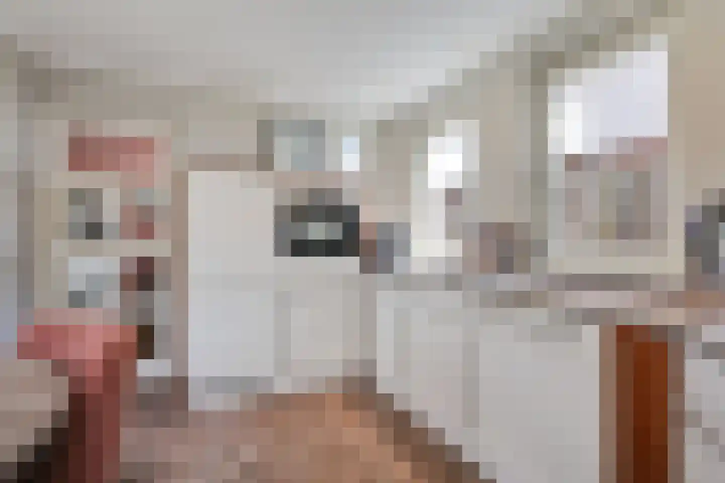 Zuivelstraat 4 Didam thumbnail 29