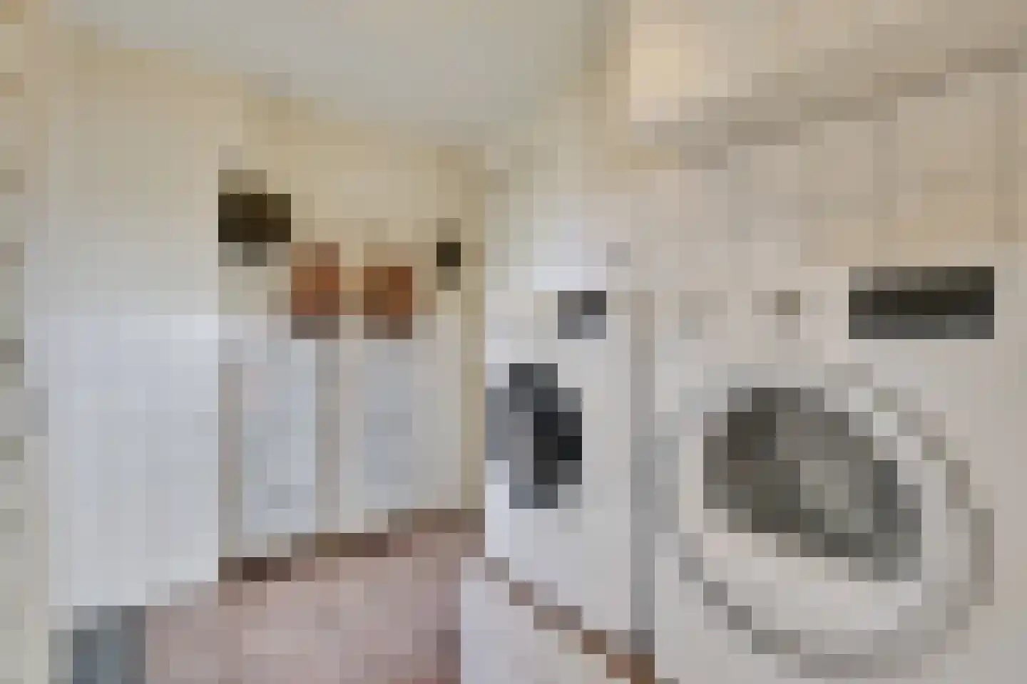 Zuivelstraat 4 Didam thumbnail 31
