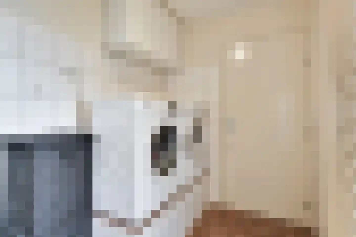 Zuivelstraat 4 Didam thumbnail 32
