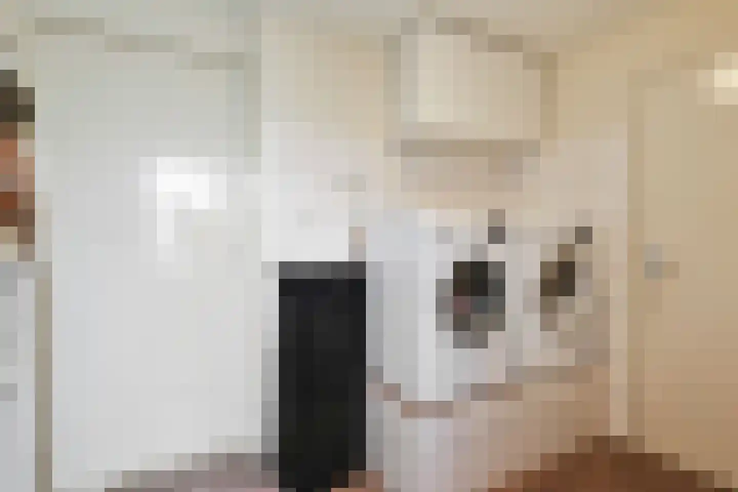 Zuivelstraat 4 Didam thumbnail 33