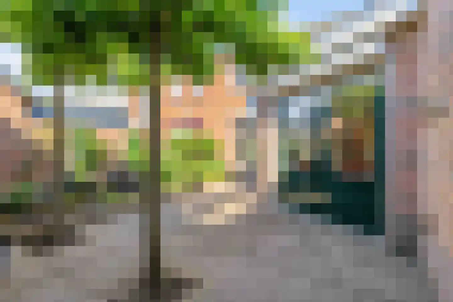 Zuivelstraat 4 Didam thumbnail 37