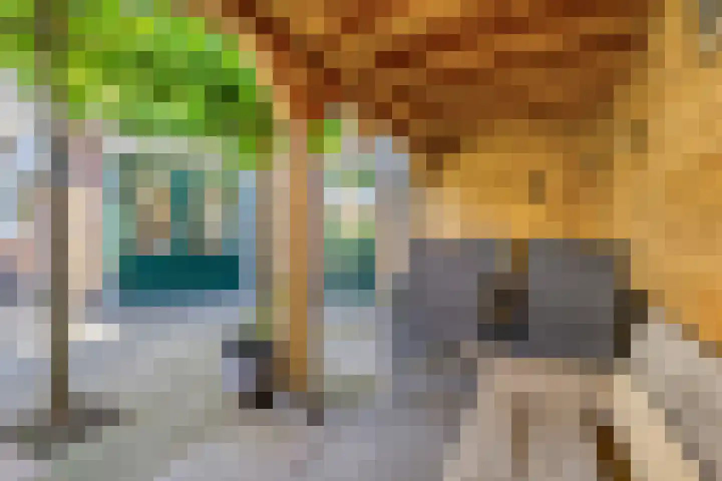 Zuivelstraat 4 Didam thumbnail 38
