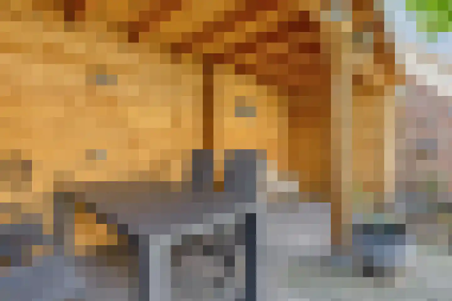 Zuivelstraat 4 Didam thumbnail 39