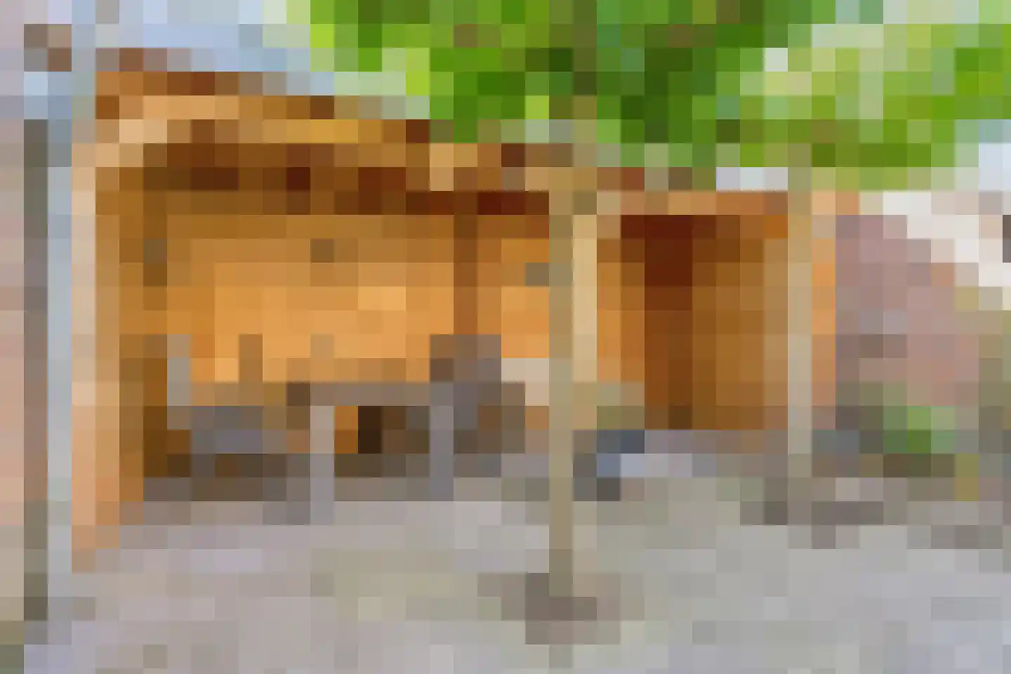 Zuivelstraat 4 Didam thumbnail 40
