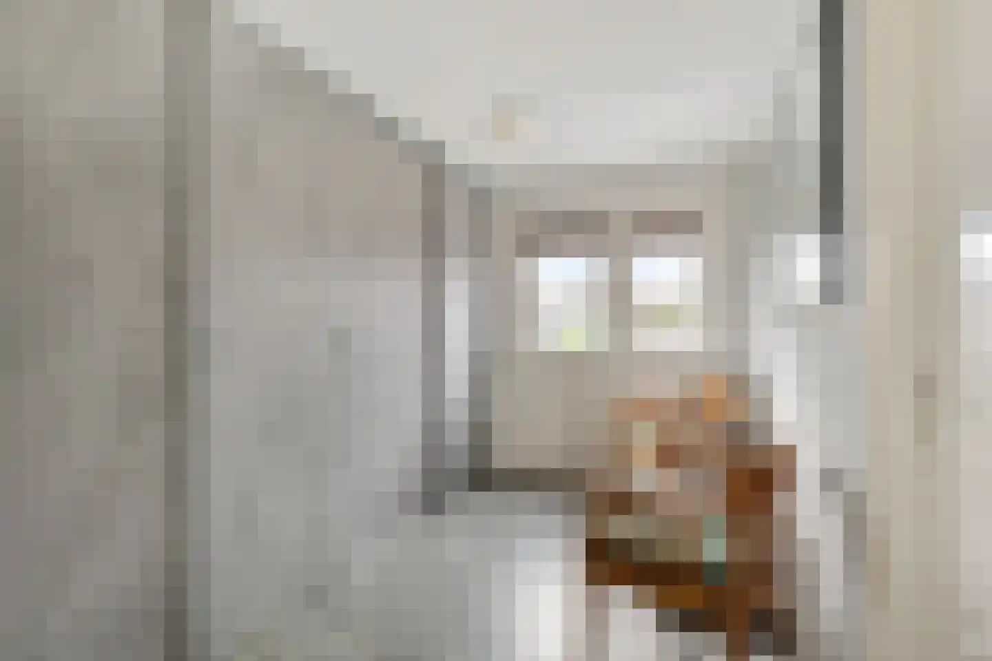 Zuivelstraat 4 Didam thumbnail 50