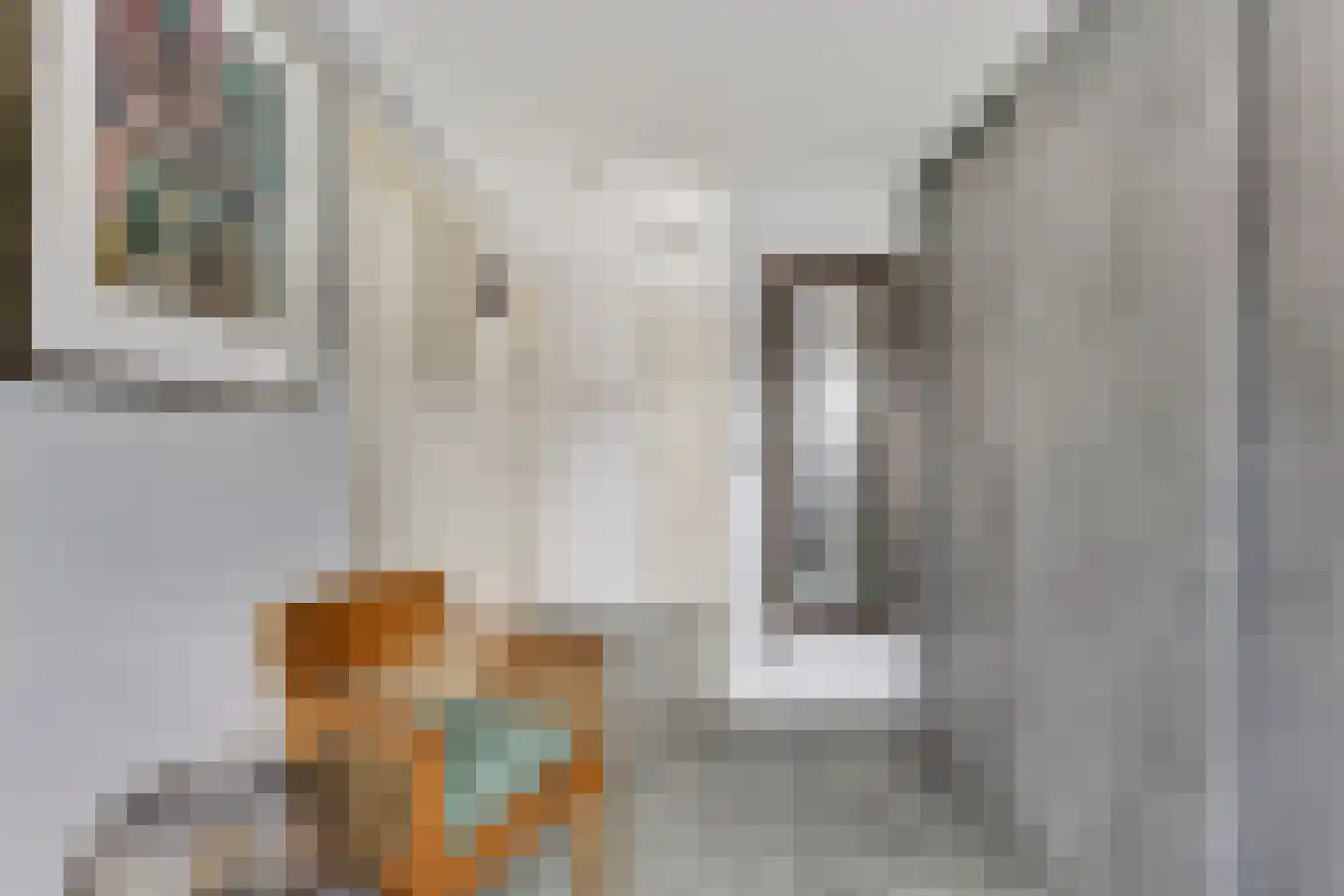 Zuivelstraat 4 Didam thumbnail 52