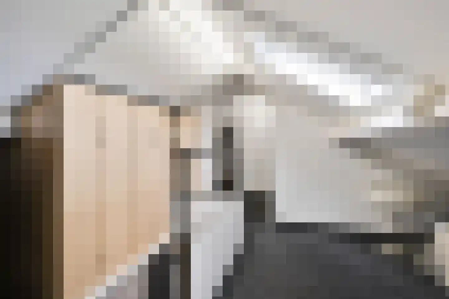 Zuivelstraat 4 Didam thumbnail 57