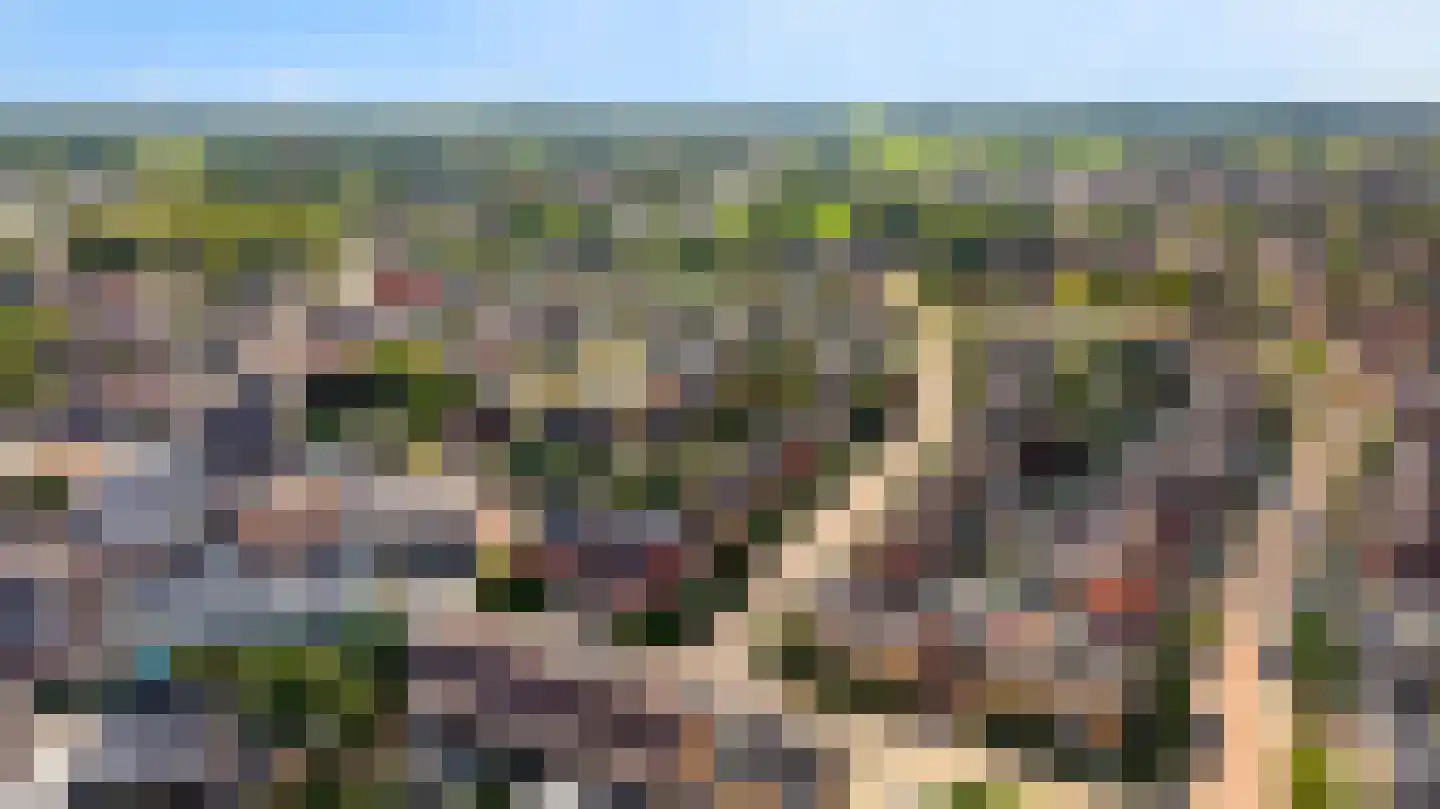Zuivelstraat 4 Didam thumbnail 7