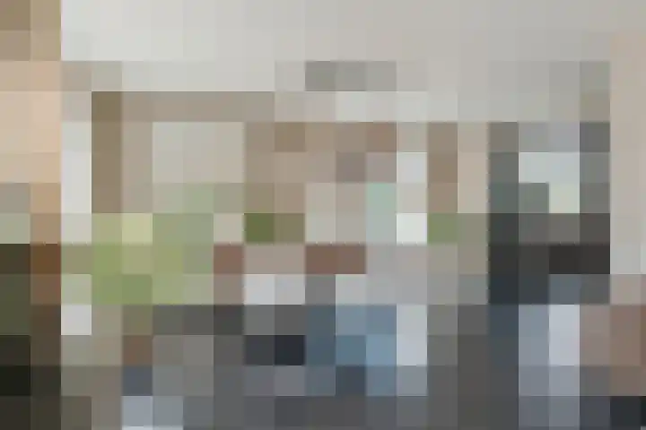 Zuivelstraat 5 Nieuwleusen thumbnail 10