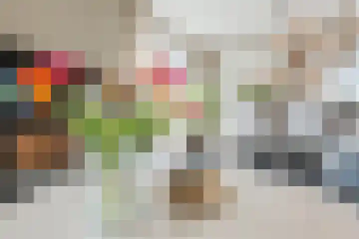Zuivelstraat 5 Nieuwleusen thumbnail 11