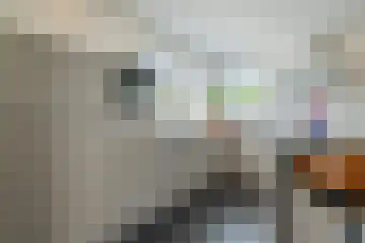 Zuivelstraat 5 Nieuwleusen thumbnail 13
