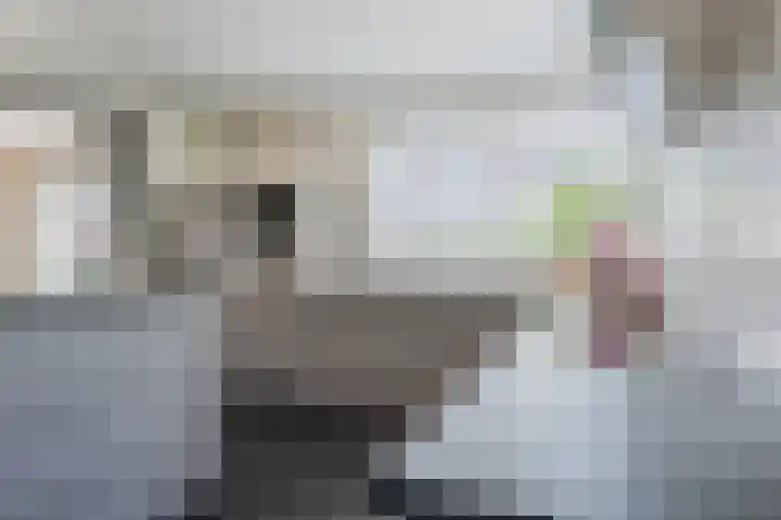 Zuivelstraat 5 Nieuwleusen thumbnail 15