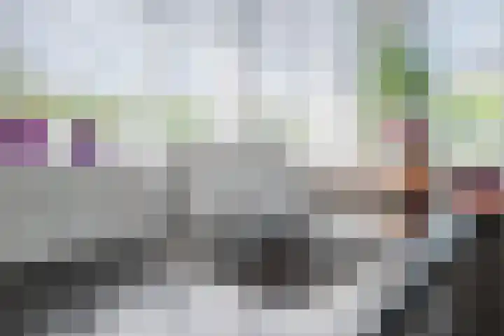 Zuivelstraat 5 Nieuwleusen thumbnail 17