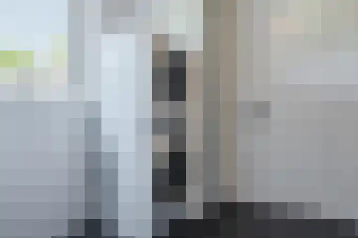 Zuivelstraat 5 Nieuwleusen thumbnail 18