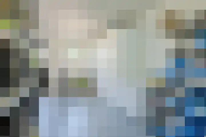 Zuivelstraat 5 Nieuwleusen thumbnail 21