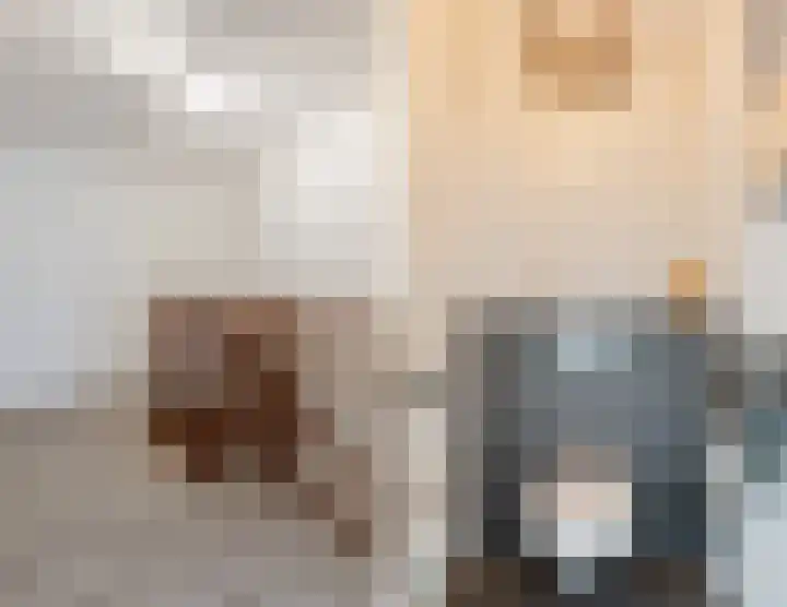Zuivelstraat 5 Nieuwleusen thumbnail 24