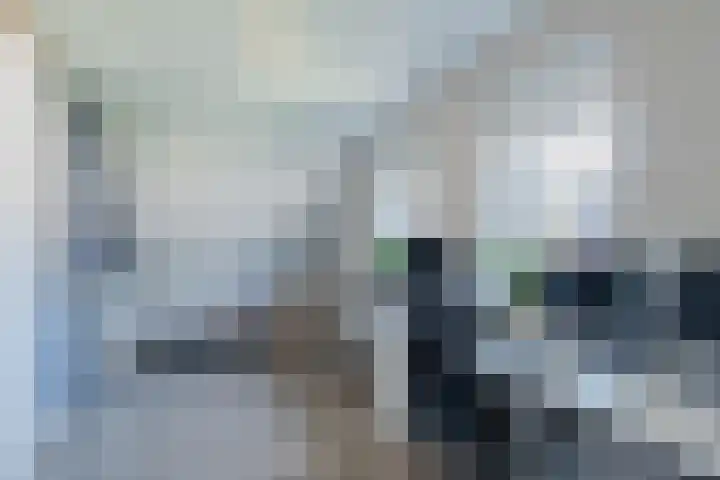 Zuivelstraat 5 Nieuwleusen thumbnail 27