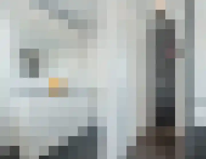 Zuivelstraat 5 Nieuwleusen thumbnail 31