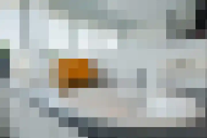 Zuivelstraat 5 Nieuwleusen thumbnail 32