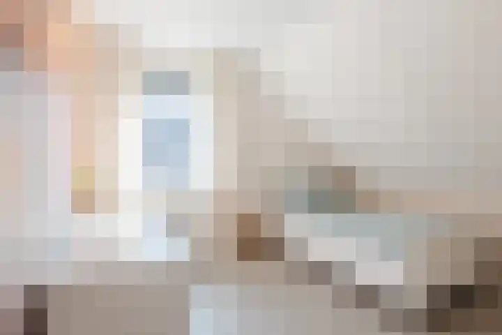 Zuivelstraat 5 Nieuwleusen thumbnail 36