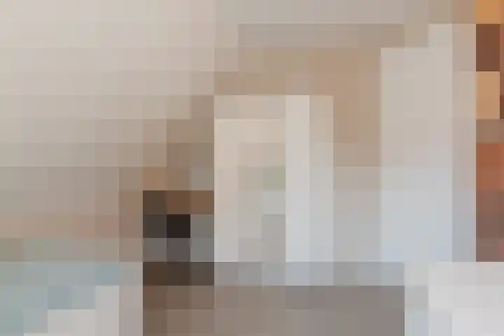 Zuivelstraat 5 Nieuwleusen thumbnail 37