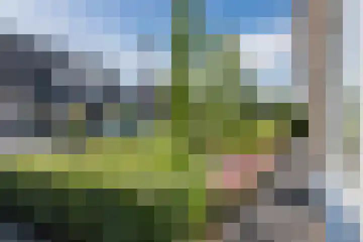Zuivelstraat 5 Nieuwleusen thumbnail 4