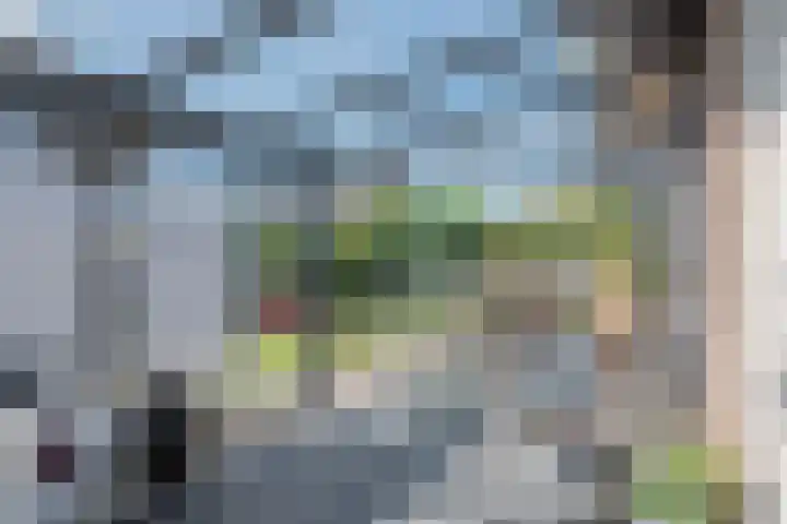 Zuivelstraat 5 Nieuwleusen thumbnail 40