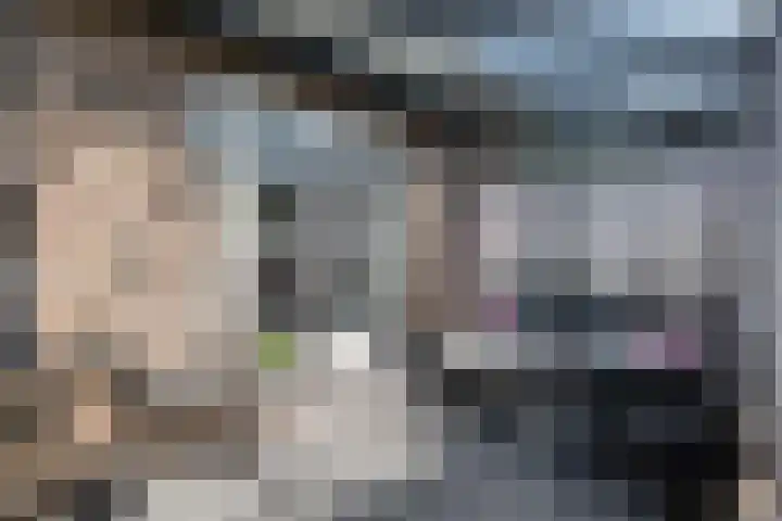 Zuivelstraat 5 Nieuwleusen thumbnail 41
