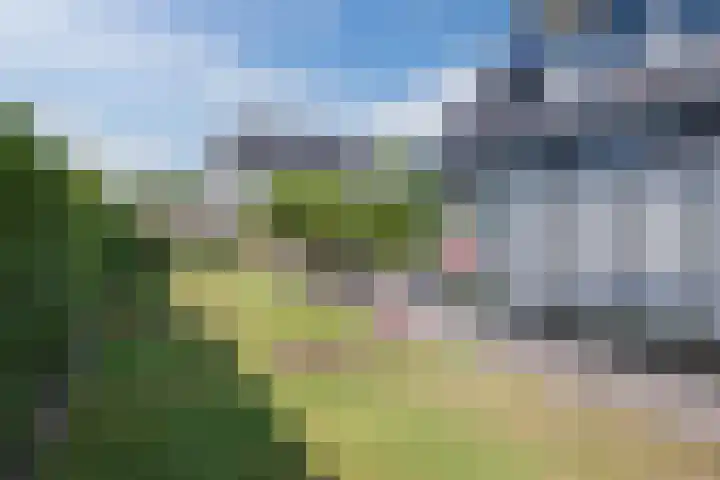 Zuivelstraat 5 Nieuwleusen thumbnail 42