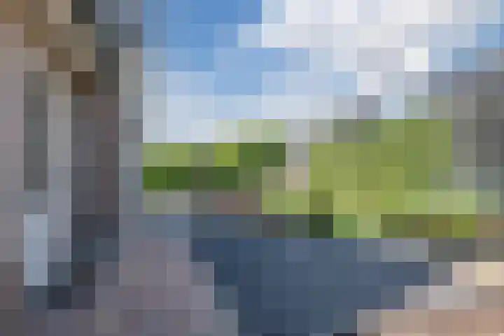 Zuivelstraat 5 Nieuwleusen thumbnail 43