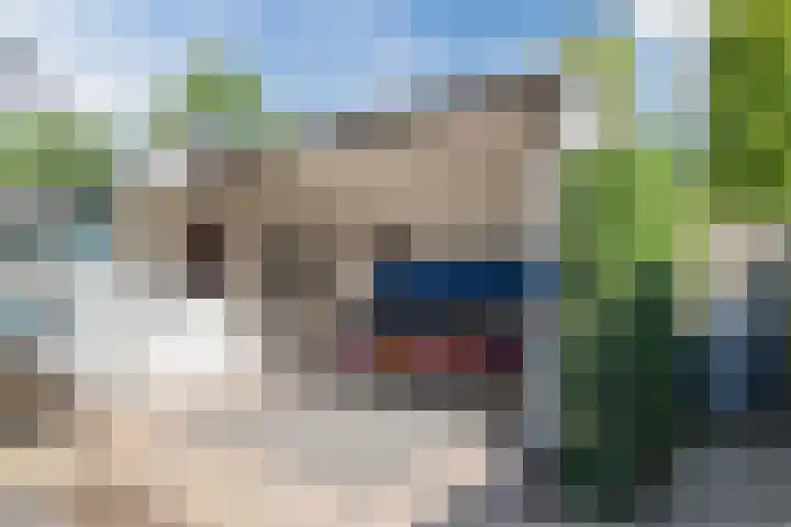 Zuivelstraat 5 Nieuwleusen thumbnail 45