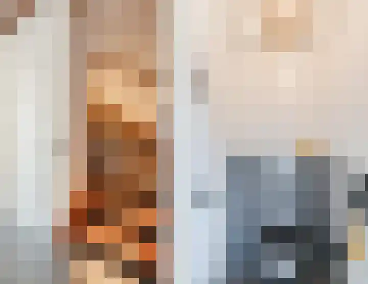 Zuivelstraat 5 Nieuwleusen thumbnail 8