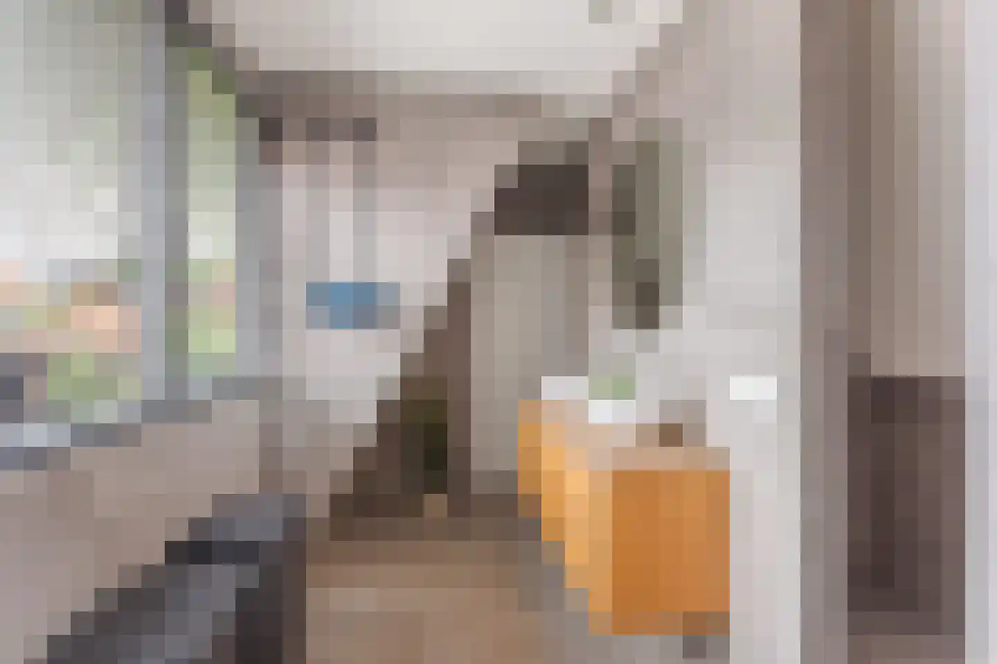 Zuivelstraat 6 Oldenzaal thumbnail 15