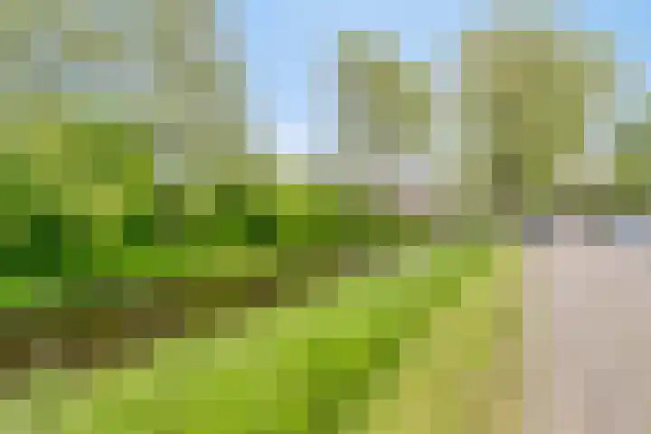 Zuivelstraat 69 Purmerend thumbnail 24