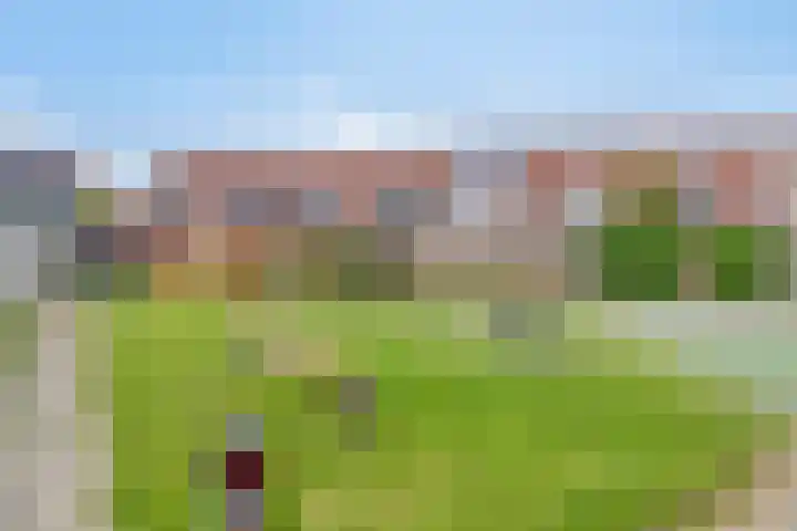 Zuivelstraat 69 Purmerend thumbnail 25