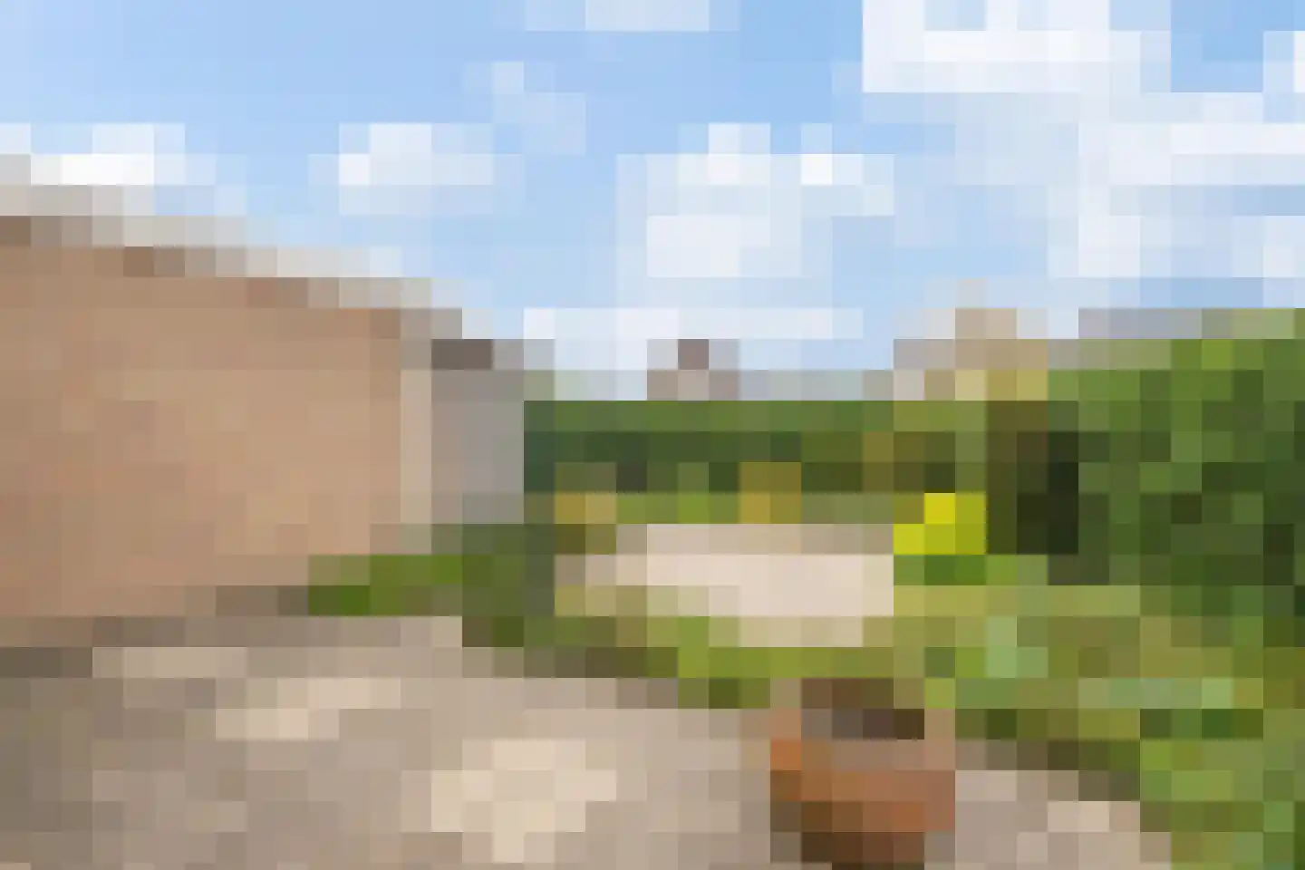 Zuivelstraat 9 Didam thumbnail 13