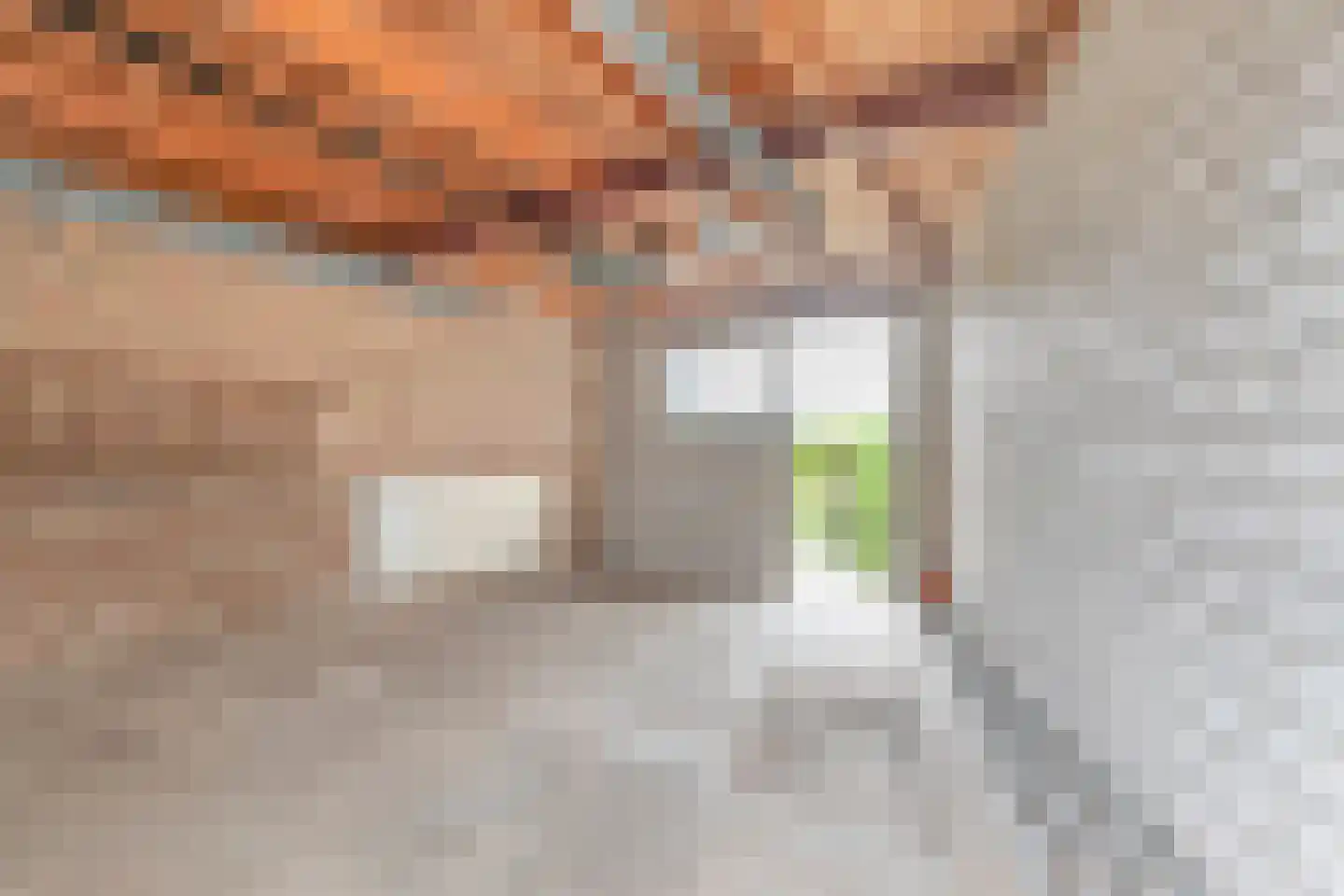 Zuivelstraat 9 Didam thumbnail 15