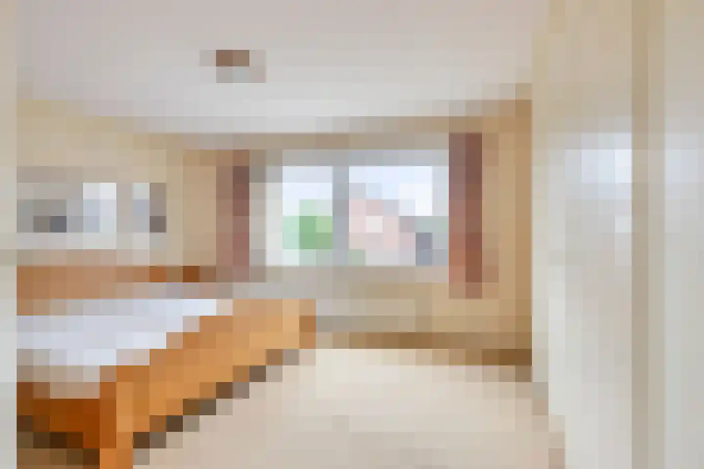 Zuivelstraat 9 Didam thumbnail 17