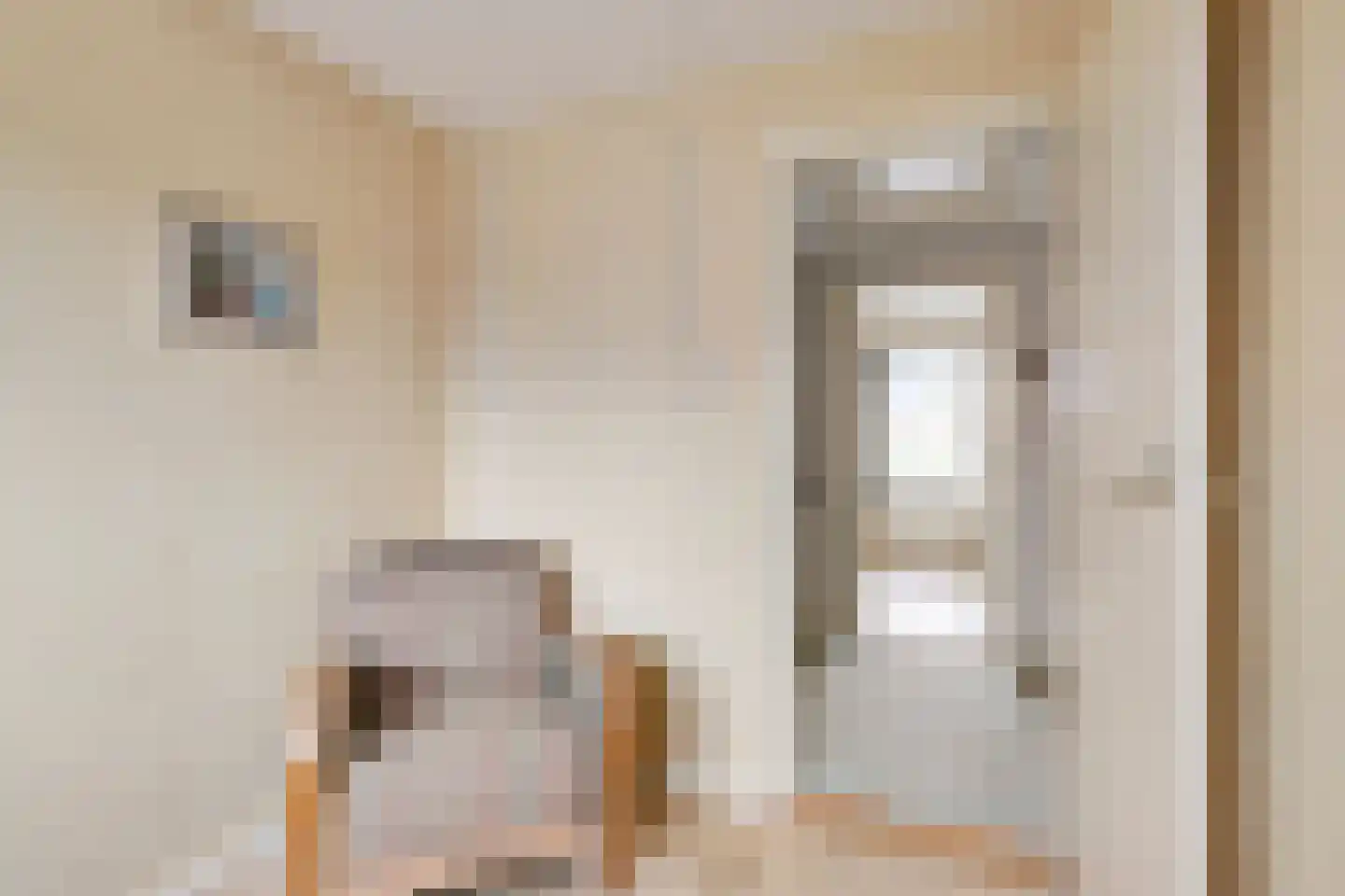 Zuivelstraat 9 Didam thumbnail 21