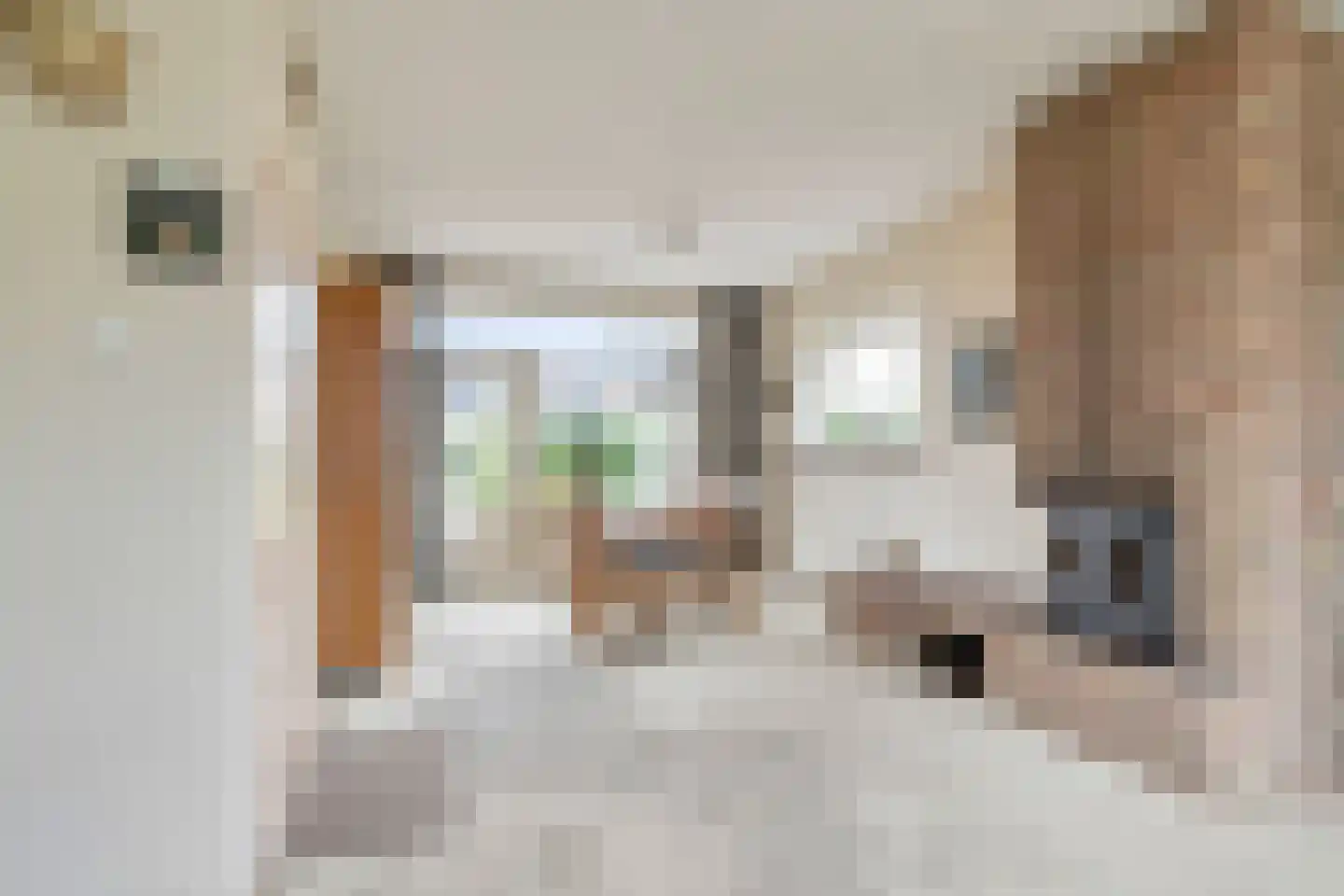 Zuivelstraat 9 Didam thumbnail 5